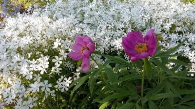 20190518_181624.jpg