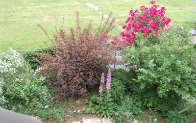 Fensterausblick_im_Juni_S3_7597.jpg