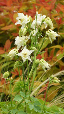 DSCN4374.JPG