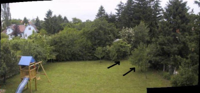 Gartenuebersicht.jpg