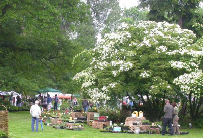 Poensgen-Park_Ratingen.jpg