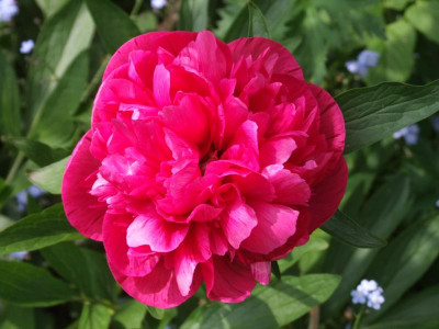 DSCF6353.JPG