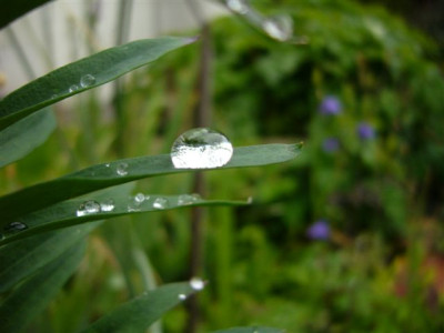 01.06.2007.JPG