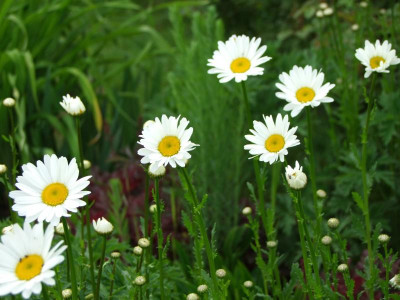 20.05.2019 19-37-39_8886.jpg