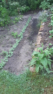 IMG-20190521-WA0005.jpeg