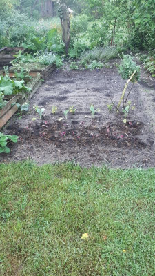 IMG-20190521-WA0010.jpeg
