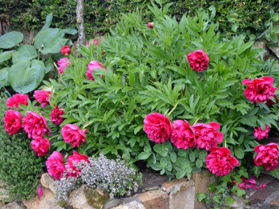 DSC_4506.JPG