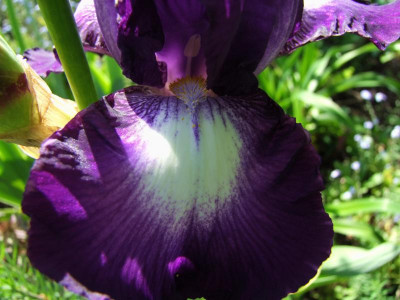 22.05.2019 18-41-03_8978.jpg