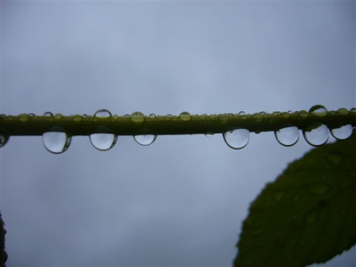 02.06.2007.0.JPG