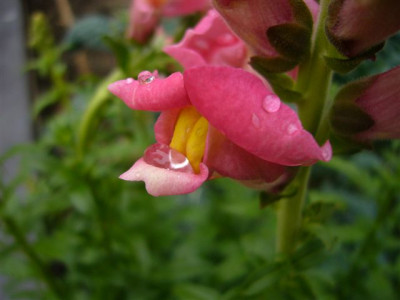02.06.2007.1.JPG