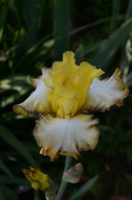 D4700 (Large).JPG