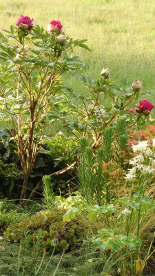 DSCN4377.JPG
