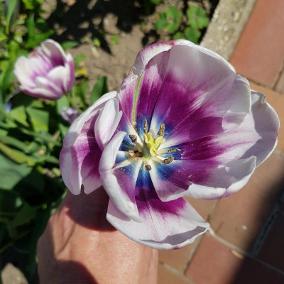 20190519_143759.jpg