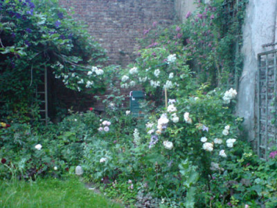 wilder_garten1.JPG