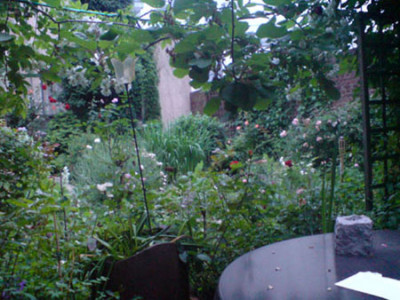 wilder_garten4.JPG