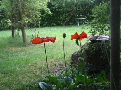 DSC06220.JPG