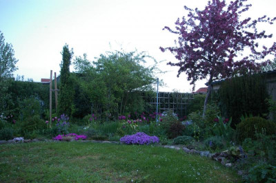 Vorderer Garten 4 2019.001.jpg