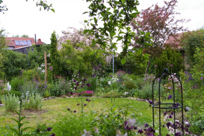 Vorderer Garten 5 2019.001.jpg
