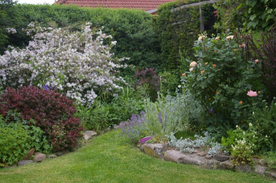 Hinterer Garten 5 2019.001.jpg