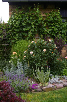 Hinterer Garten 5 2019.002.jpg