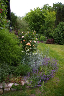 Hinterer Garten 5 2019.003.jpg