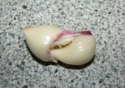 Knoblauchliebe-_1.06.07_004.jpg