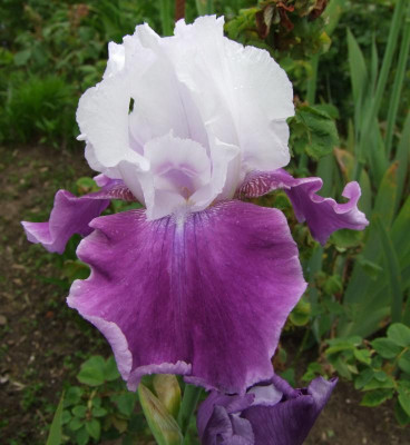 26.05.2019 12-14-00_9294.jpg