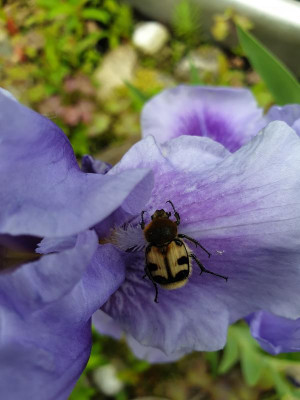 20190526_121501.jpg