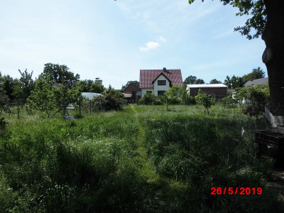 DSCI0069.JPG
