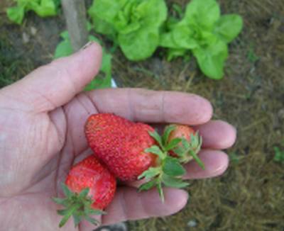 DSCN1028.jpg