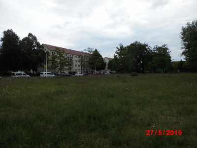 DSCI0002 (2).JPG