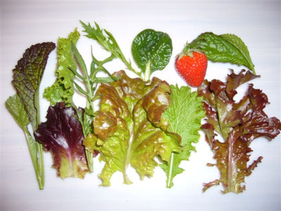 03.06.2007.1.JPG