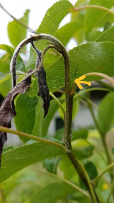 20190528_201559.jpg