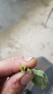 20190528_201003.jpg
