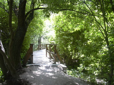lobau_007.jpg
