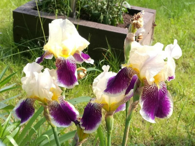 I_unbekannt_20190529_163536.jpg
