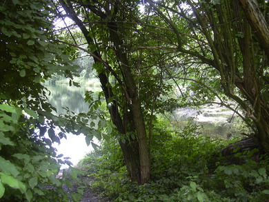 lobau_008.jpg