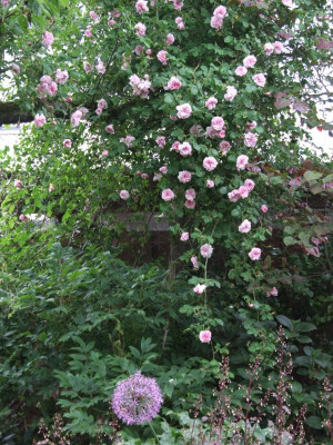 DSCF6394 - Kopie.JPG