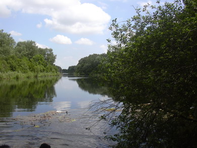 lobau_012.jpg