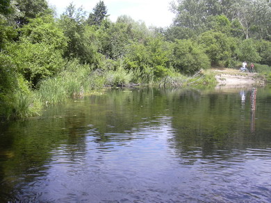 lobau_013.jpg