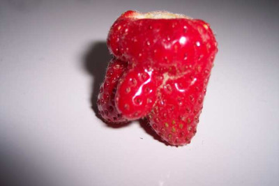 K640_100_3619.JPG