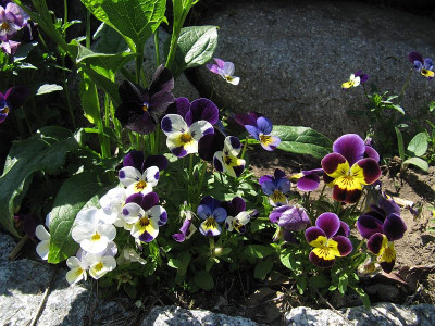 IMG_6461_30Mai2019_.jpg