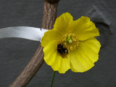 P1050850.JPG