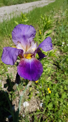 20190531_110546.jpg