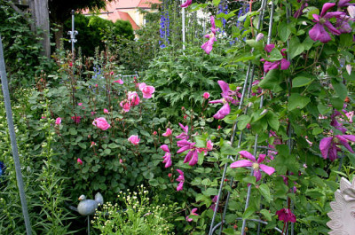 Cl.vit.Margot_Koster0107.jpg