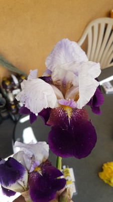 20190531_144338.jpg