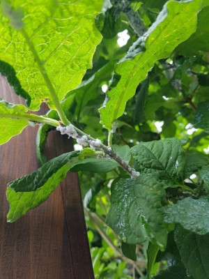 20190531_143237.jpg