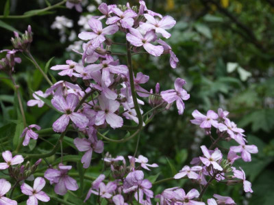 DSCF6362.JPG