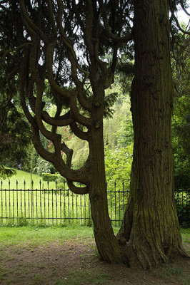 mammut_040527_1_049.jpg