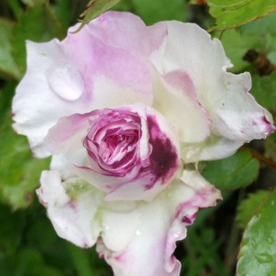 Seelsorger_0519_05.jpg